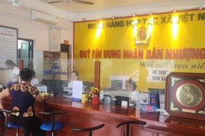 QTDND chuyển mình trong dòng chảy số