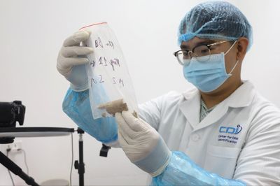 Giải mã ADN, nối lại những cuộc đoàn tụ