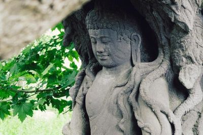 Phật pháp giữa cuộc đời