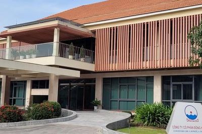 Lãnh đạo Đông Hải Bến Tre (DHC) ồ ạt gom cổ phiếu trước kỳ lợi nhuận bứt phá vượt kế hoạch