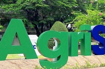 Chủ tịch Đặng Huỳnh Ức My chi lớn gom 11 triệu cổ phiếu, AgriS (SBT) tái cấu trúc loạt công ty con