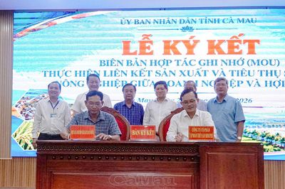 Chuyển từ tư duy quản lý sang đồng kiến tạo HTX