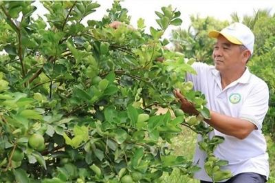 Từ quả chanh đến chuỗi giá trị tuần hoàn