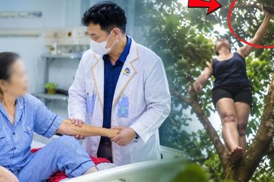 Trèo cây hái quả, người phụ nữ ngã chấn thương gan, suýt mất mạng