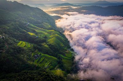 Cảnh gây sửng sốt ở Hoàng Su Phì mùa đẹp nhất năm