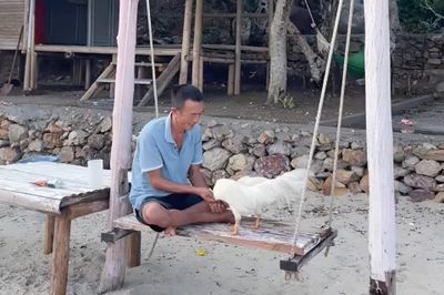 Người đàn ông bán ôtô, xa vợ con ra đảo hoang sống một mình