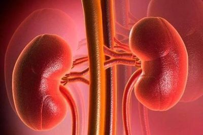 Cuộc đời mới sau suy thận giai đoạn cuối