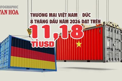 Đức chi 8,01 tỉ USD mua hàng Việt, Việt Nam xuất siêu 4,85 tỉ USD