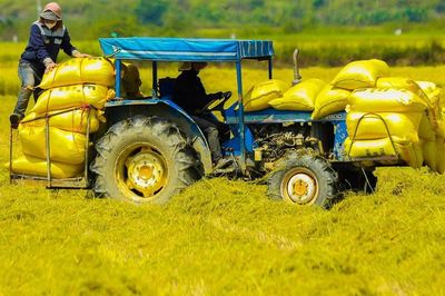 Hướng dẫn tổ chức đào tạo nghề cho người lao động là thanh niên; ở nông thôn