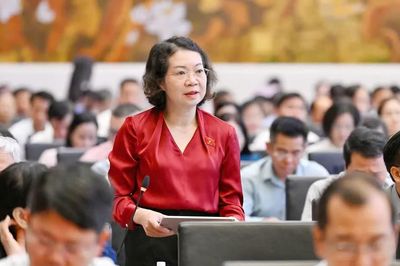 Cân nhắc kỹ việc tăng phạt tiền, cấm xuất cảnh khi xử lý vi phạm hành chính