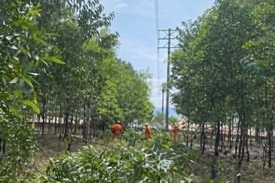 Lịch cúp điện Thành phố Huế hôm nay ngày 30/9/2026