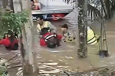 Thái Lan di dời cá sấu nặng 400 kg khỏi ngôi chùa ngập lụt