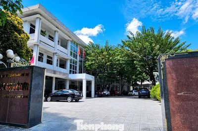Huế hợp nhất nhiều đơn vị thuộc Sở Nông nghiệp và Môi trường