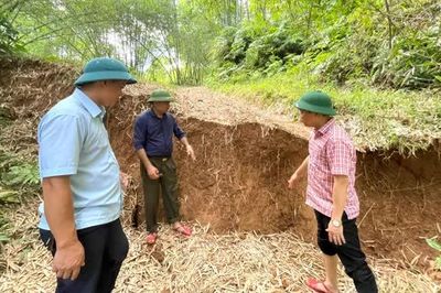 Ngọn đồi ở Thanh Hóa có vết nứt kéo dài 1.000m, hàng chục hộ dân phải di dời