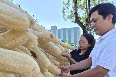Từ đơn hàng 30 USD, vợ chồng Việt biến xơ mướp già thành hàng xuất khẩu