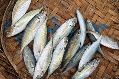 3 bộ phận của cá vừa bẩn và độc