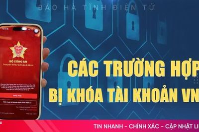 [Infographic] Các trường hợp bị khóa tài khoản VNeiD