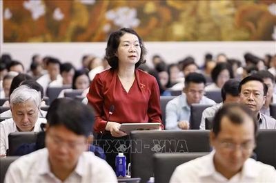 Đánh giá kỹ lưỡng về mức phạt tiền, các biện pháp cưỡng chế thi hành quyết định xử phạt hành chính