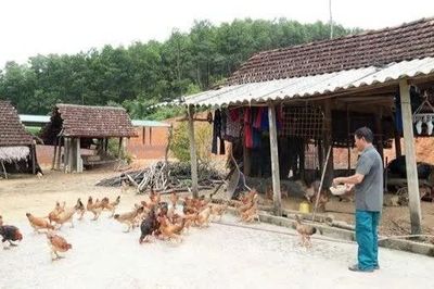 Vốn chính sách mở lối thoát nghèo tại vùng biên giới Sơn Hồng