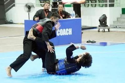 Việt Nam đứng Nhất toàn đoàn tại Giải vô địch Pencak Silat Đông Nam Á 2026