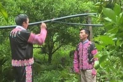 Người mang quả ngọt phủ xanh đất dốc
