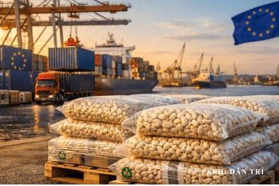 EU siết chặt quy định về tuyên bố môi trường: Những lưu ý cho doanh nghiệp Việt Nam
