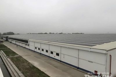 Điện mặt trời mái nhà trong doanh nghiệp - Từ giải pháp tiết kiệm đến hiệu quả đầu tư