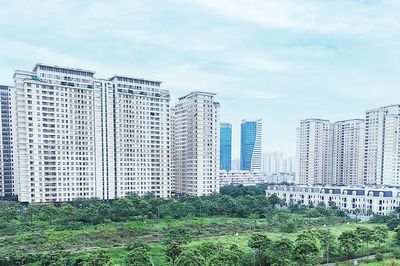 Xử lý đất bỏ hoang, quy định thời hạn sử dụng nhà chung cư