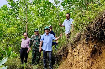 Kích hoạt kịch bản ứng phó thiên tai - Kỳ 2: Miền núi lường trước nguy cơ