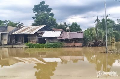 Xã Thanh Sơn chủ động ứng phó ngập úng, bảo đảm sản xuất nông nghiệp
