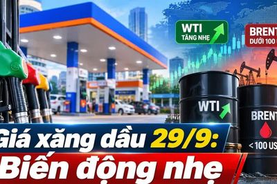 Giá xăng dầu hôm nay 29/9: Chờ hai phiên cuối trước kỳ 1/10