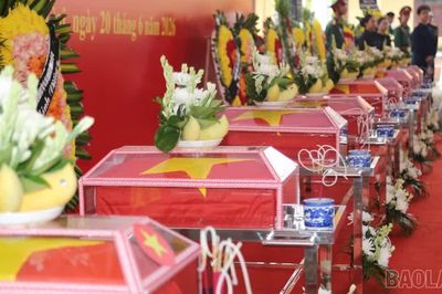 Từ đại ngàn các anh trở về