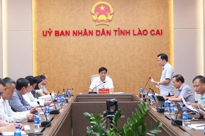 Lào Cai chuẩn bị điều kiện tham gia thị trường tín chỉ carbon rừng