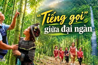 “Tiếng gọi” giữa đại ngàn