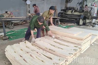 Để ngành chế biến gỗ phát triển bền vững