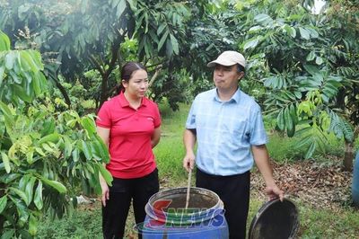 Hiệu quả các mô hình kinh tế tập thể ở Chiềng Khoong