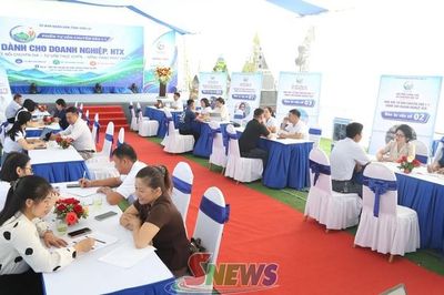 Tư vấn chuyên sâu 1-1 tháo gỡ vướng mắc cho doanh nghiệp, HTX