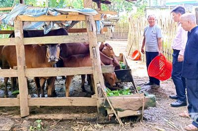 Tạo sinh kế để người dân chủ động thoát nghèo