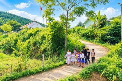 Tiếng organ giữa đại ngàn