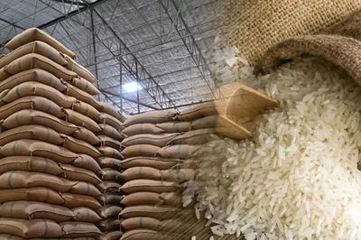Ngày 29/9: Giá gạo nguyên liệu xuất khẩu tăng, lúa đi ngang