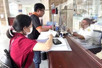 Thuế Tp.HCM: ''Làm sạch'' mã số thuế bước vào giai đoạn mới