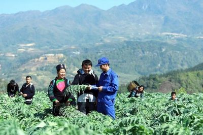 HTX từng bước giúp đồng bào dân tộc thiểu số làm giàu