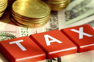 TP.HCM rà soát hơn 684.000 trường hợp người nộp thuế thuộc trạng thái 03, 06