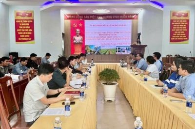 Lâm Đồng: Hợp tác phát triển vùng nguyên liệu khoai tây tại xã Nam Ban Lâm Hà