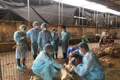 Cảnh báo sớm, kiểm soát thực phẩm từ gốc