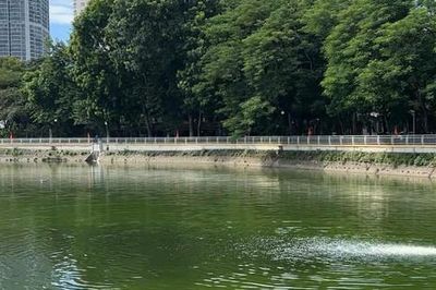 Khẩn trương khắc phục hiện tượng cá chết ở hồ Nghĩa Đô