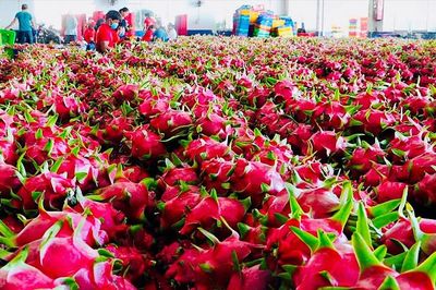 Không chủ quan trước quy định của EU về kiểm soát chất lượng nông sản