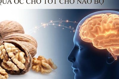Thời điểm tốt nhất để ăn quả óc chó tốt cho não bộ