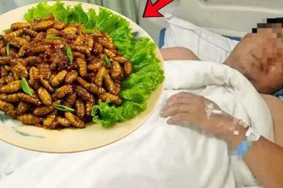 Người đàn ông 41 tuổi suýt chết sau khi ăn 20 con nhộng tằm