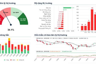 Xu hướng chứng khoán 29/9 nên theo dõi dòng dẫn dắt như dầu khí, bán lẻ